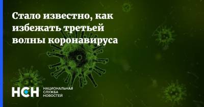Андрей Поздняков - Стало известно, как избежать третьей волны коронавируса - nsn.fm - Россия