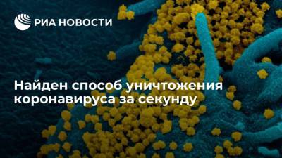 Найден способ уничтожения коронавируса за секунду - ria.ru - Москва - Сша