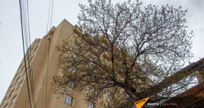 Цены на жилье в Ереване начали снижаться - ru.armeniasputnik.am - Армения - Ереван