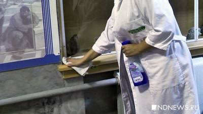 В уральской школе – вспышка коронавируса, начато расследование - newdaynews.ru