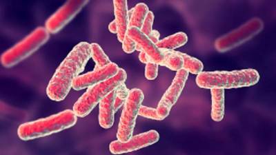 Ученые научили синегнойную палочку собирать микропластик - newdaynews.ru - Гонконг