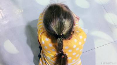 В Челябинске возбуждено уголовное дело по факту нападения на 7-летнюю девочку - newdaynews.ru - Челябинск