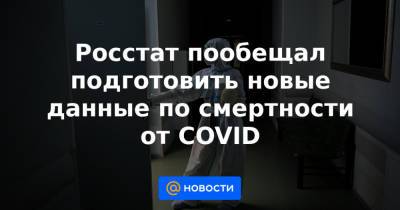 Павел Малков - Росстат пообещал подготовить новые данные по смертности от COVID - news.mail.ru - Россия