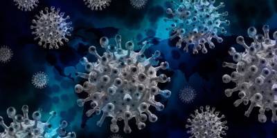 Это считалось нереальным. Ученые нашли способ убить коронавирус за полсекунды - nv.ua - Сша