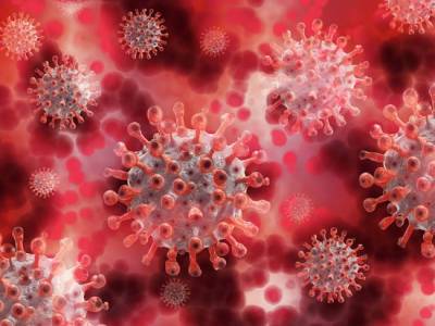 Учёные обнаружили способ уничтожения коронавируса в течение секунды - rf-smi.ru