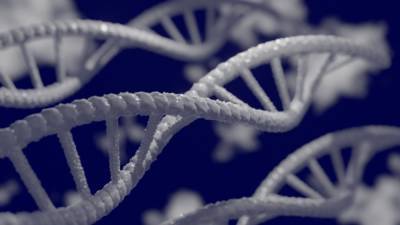 Американские ученые определили влияние генов человека на течение COVID-19 - nation-news.ru