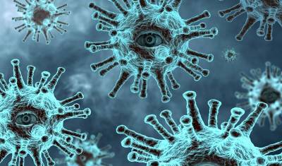 В Башкирии подтверждено 444 смертей от коронавируса с начала пандемии - mkset.ru - республика Башкирия