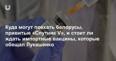 Куда могут поехать белорусы, привитые «Спутник V», и стоит ли ждать импортные вакцины, которые обещал Лукашенко - news.tut.by - Евросоюз