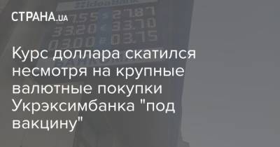 Курс доллара скатился несмотря на крупные валютные покупки Укрэксимбанка “под вакцину” - cryptos.tv