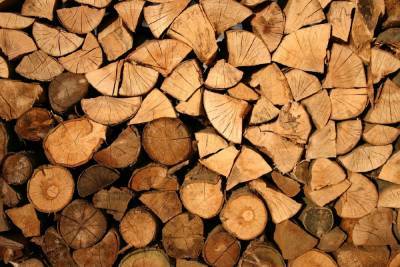 Из-за роста спроса на загородную недвижимость страдает рынок древесины - abnews.ru