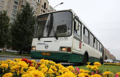 Автобусы петербургского «Пассажиравтотранса» замечены на территории ЛНР - neva.today - Санкт-Петербург - Украина - Лнр - Алчевск