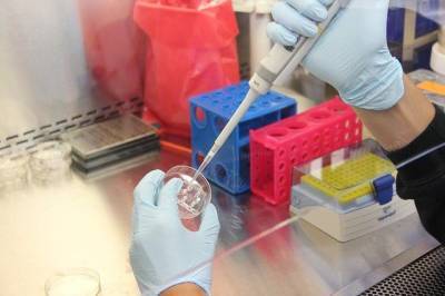 Израильские ученые придумали спрей для носа, спасающий от коронавируса и мира - cursorinfo.co.il - Англия - Лондон - штат Юта - Sanotize