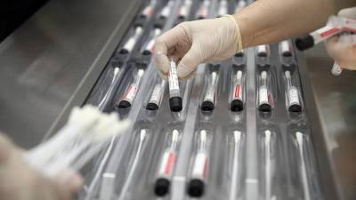 В России провели более 121,3 млн тестов на коронавирус - iz.ru - Россия - Израиль