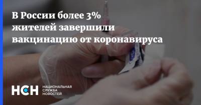 В России более 3% жителей завершили вакцинацию от коронавируса - nsn.fm - Россия