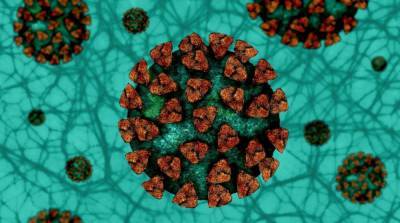 Индийский штамм коронавируса обнаружили еще в трех странах - ru.slovoidilo.ua - Франция - Израиль - Румыния