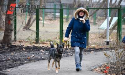 Россияне могут бесплатно проверить кошек и собак на COVID - fedpress.ru - Россия - Санкт-Петербург - Москва - Тула - Липецк