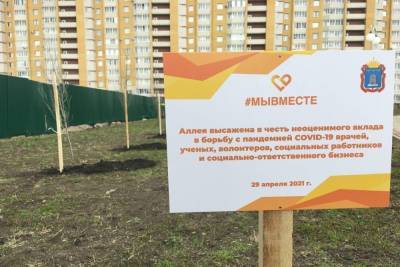 В Олимпийском парке Тамбова высадили памятную аллею - tambov.mk.ru