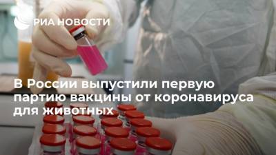 Юлия Мелано - В России выпустили первую партию вакцины от коронавируса для животных - ria.ru - Россия - Москва - Челябинск - Иркутск