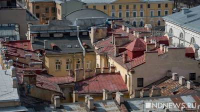 В Петербурге нелегальная экскурсия по крышам обернулась стрельбой - newdaynews.ru - Санкт-Петербург