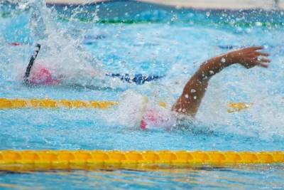 Чемпионаты мира по плаванию в ластах и дайвингу пройдут в Томске в июле - tv2.today - Томск