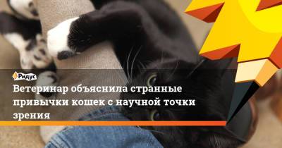 Ветеринар объяснила странные привычки кошек с научной точки зрения - ridus.ru