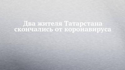Два жителя Татарстана скончались от коронавируса - chelny-izvest.ru - республика Татарстан