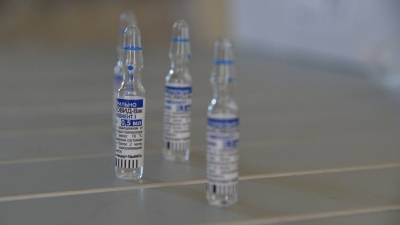 В Турции одобрили российскую вакцину «Спутник V» - 5-tv.ru - Россия - Турция