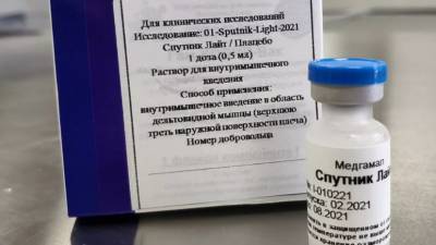 Александр Гинцбург - Гинцбург рассказал об эффективности вакцины «Спутник Лайт» - russian.rt.com - Россия
