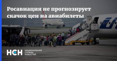 Александр Нерадько - Росавиация не прогнозирует скачок цен на авиабилеты - nsn.fm