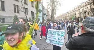 Митинг противников комендантского часа в Грузии прошел без задержаний - kavkaz-uzel.eu - Грузия - Тбилиси