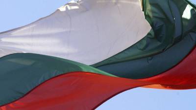 На парламентских выборах в Болгарии лидирует партия ГЕРБ - mir24.tv - Болгария