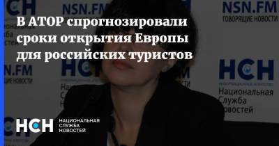 Майя Ломидзе - В АТОР спрогнозировали сроки открытия Европы для российских туристов - nsn.fm