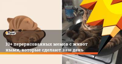 10+ перерисованных мемов сживотными, которые сделают ваш день - ridus.ru
