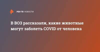 Мелита Вуйнович - В ВОЗ рассказали, какие животные могут заболеть COVID от человека - ren.tv - Россия