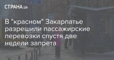В "красном" Закарпатье разрешили пассажирские перевозки спустя две недели запрета - strana.ua - Закарпатская обл.