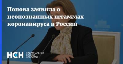 Анна Попова - Попова заявила о неопознанных штаммах коронавируса в России - nsn.fm - Россия