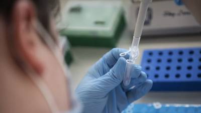 В России проведено более 122 млн тестов на коронавирус - russian.rt.com - Россия