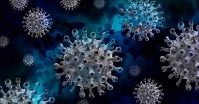 В Румынии разыскали новую мутацию коронавируса - dsnews.ua - Англия - Румыния