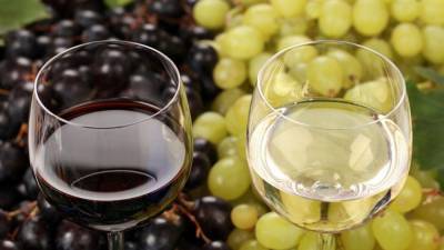 Роскачество перечислило лучшие импортные вина - nation-news.ru - Франция - Италия - Испания