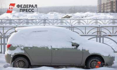 В Петербурге выпало 4 см апрельского снега - fedpress.ru - Санкт-Петербург