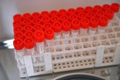 Привезли из-за границы - interfax-russia.ru