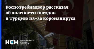 Анна Попова - Роспотребнадзор рассказал об опасности поездок в Турцию из-за коронавируса - nsn.fm - Россия - Турция