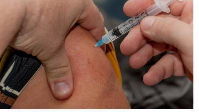 В России пока не планируют вакцинировать трудовых мигрантов от COVID-19 - piter.tv - Россия - с. 18 Января