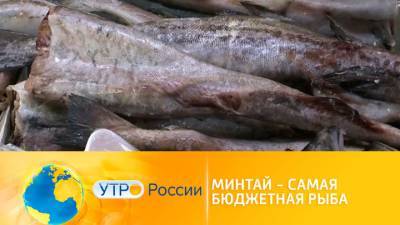 Утро России. Минтай – самая бюджетная рыба - vesti.ru - Россия - Китай