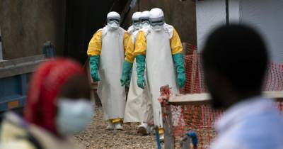 В Гвинее бьют тревогу из-за эпидемии лихорадки Эбола - dsnews.ua - Конго - Гвинея - Гуеке
