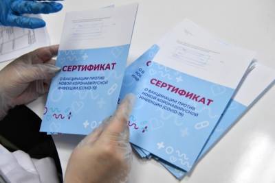 Олег Качанов - Минцифры: сертификат о вакцинации от COVID-19 будет привязан к загранпаспорту - interfax-russia.ru