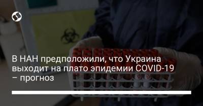 В НАН предположили, что Украина выходит на плато эпидемии COVID-19 – прогноз - liga.net - Украина