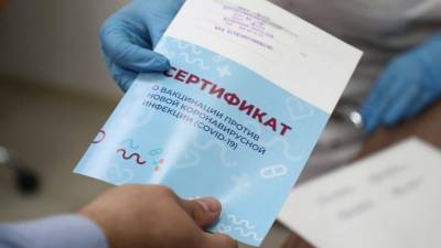 Олег Качанов - Сертификат о вакцинации от COVID-19 стал доступен сразу на двух языках - 5-tv.ru - Россия