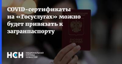 Олег Качанов - COVID-сертификаты на «Госуслугах» можно будет привязать к загранпаспорту - nsn.fm