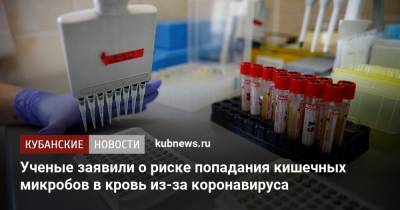 Ученые заявили о риске попадания кишечных микробов в кровь из-за коронавируса - kubnews.ru